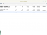 A screenshot of a screenshot of a customer balance AI-generated content may be incorrect.